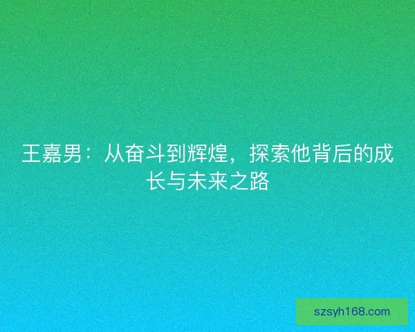 王嘉男：从奋斗到辉煌，探索他背后的成长与未来之路